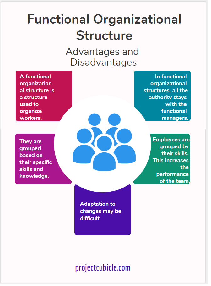 Advantages And Disadvantages Of Functional Structure In Project Management