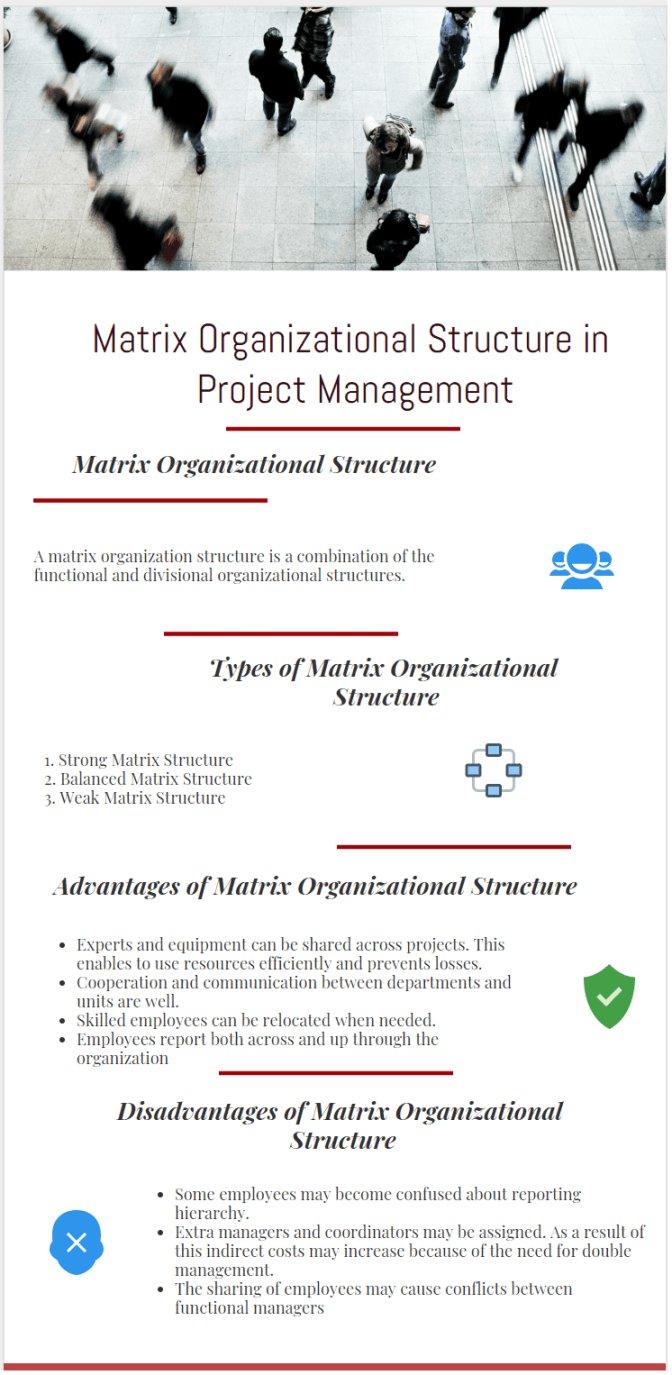 Matrix Organizational Structure In Project Management - Projectcubicle