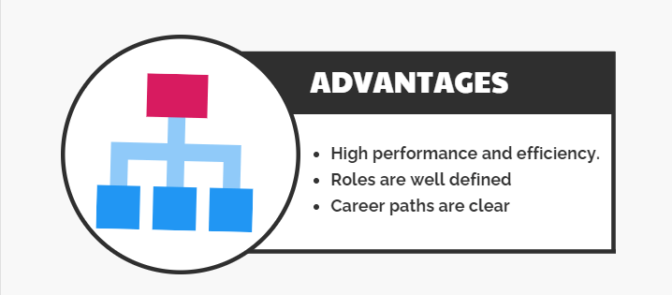 functional-organizational-structure-advantages-projectcubicle