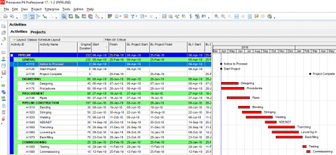 Primavera P6 Activity Splitting Explained - projectcubicle