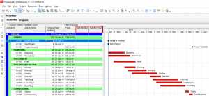 Primavera P6 Activity Splitting Explained - projectcubicle