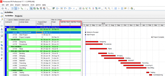 Primavera P6 Activity Splitting Explained