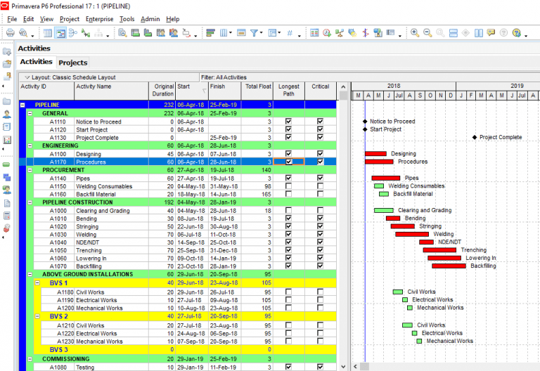 Critical Path Analysis in Primavera P6