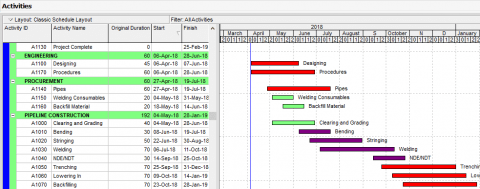 Primavera Project Management (P6) Activity Bars