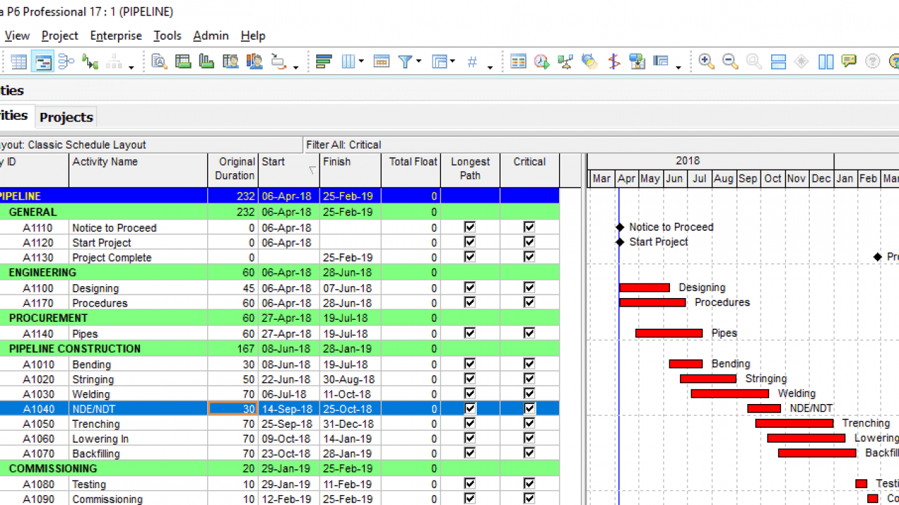 Cost Loading in Oracle Primavera P6 - projectcubicle