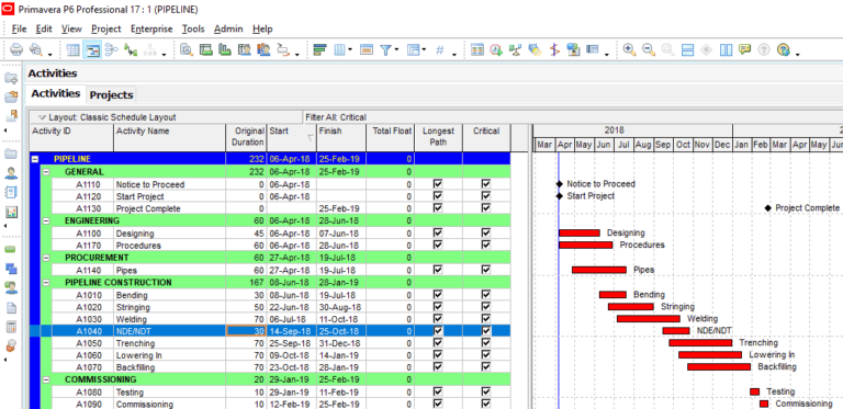 Critical Path Analysis in Primavera P6