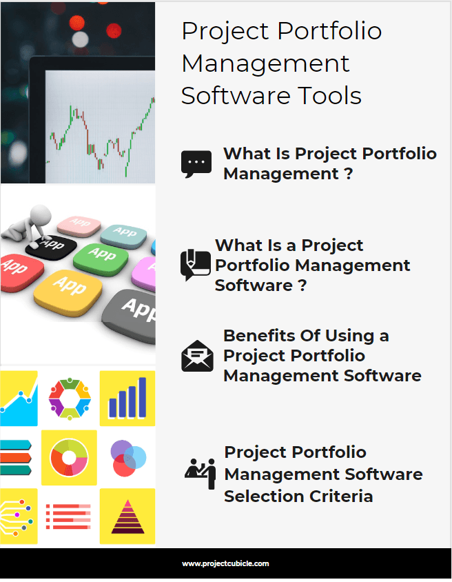 Project Portfolio Management Software Tools - projectcubicle