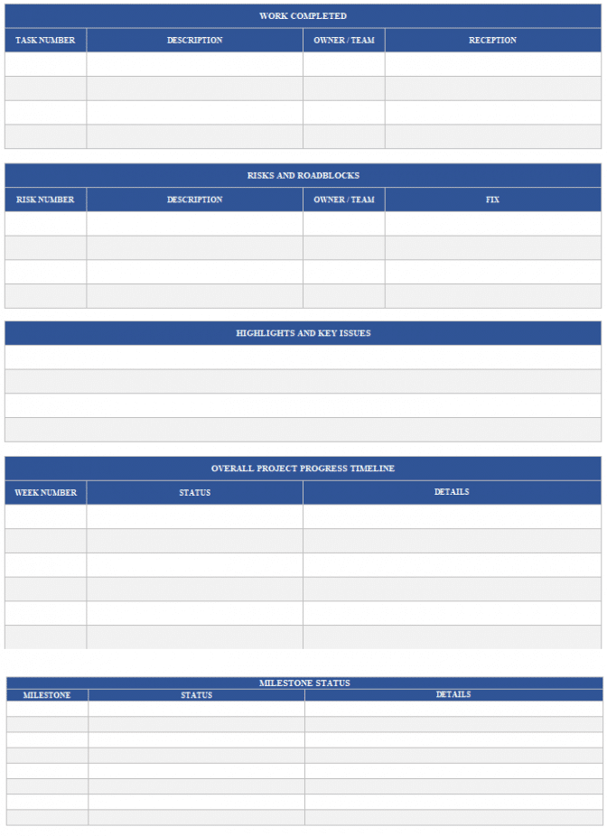 Project Status Report Template Example & Steps - projectcubicle