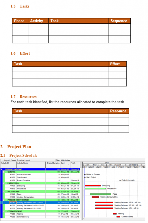 Project Plan Template & Example and Creation Steps