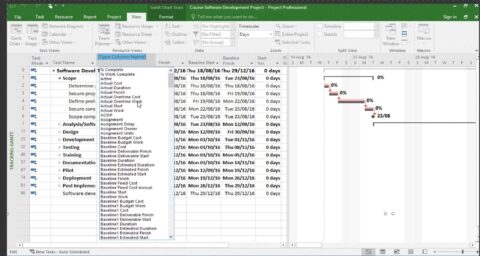 Microsoft Project Tutorial: Introduction to Baselines