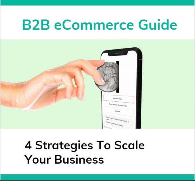 B2B ECommerce Guide: 4 Strategies - Projectcubicle