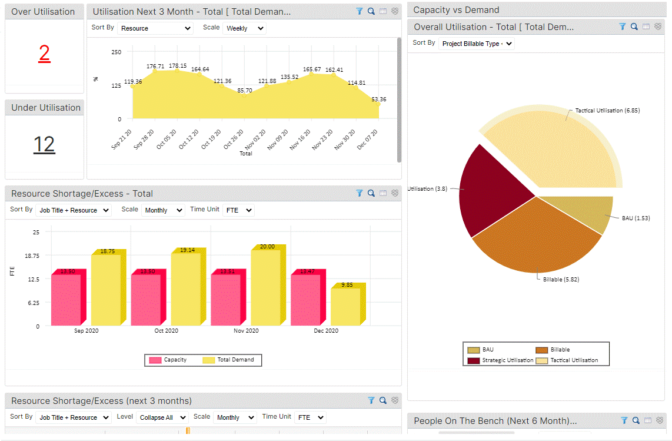 Saviom Enterprise Resource Management Review