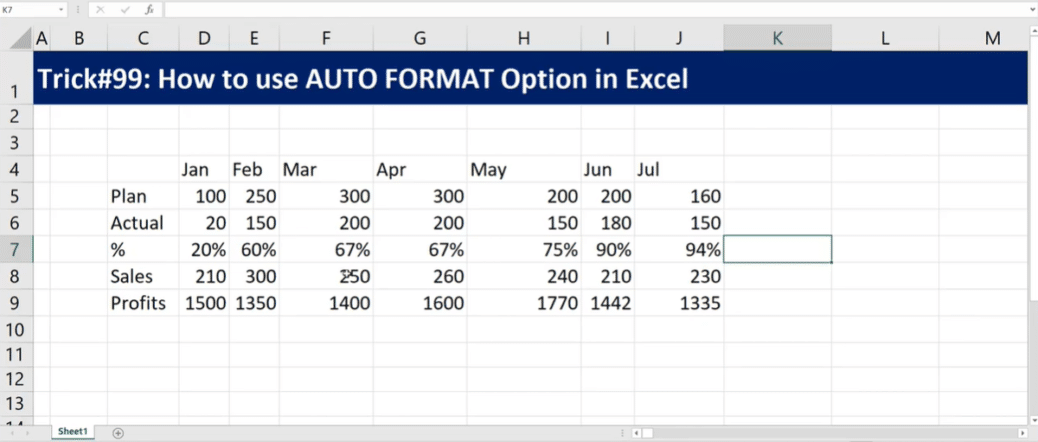 what-is-the-auto-format-in-excel