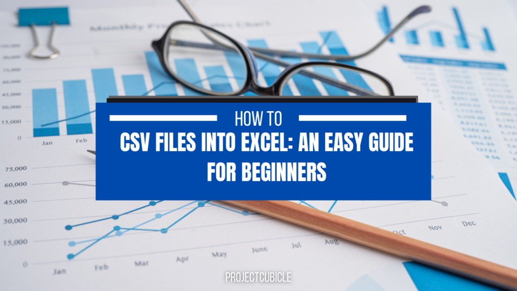 csv-files-into-excel-an-easy-guide-for-beginners-projectcubicle