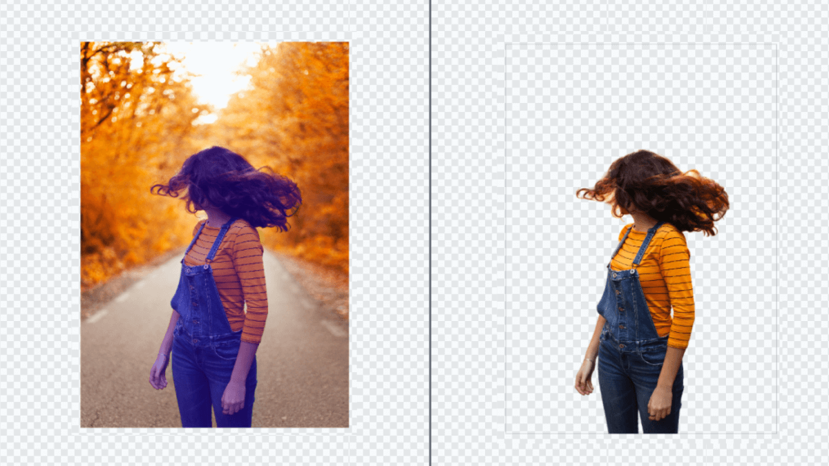 Mastering the Art of Background Removal